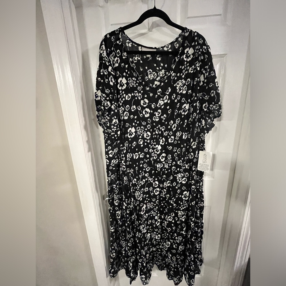 Size 3x women within black sheer coverup/dress